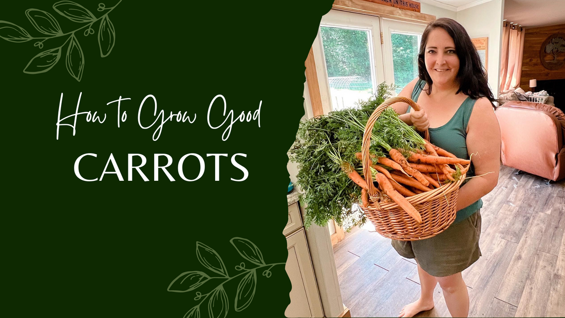How to Grow Carrots
