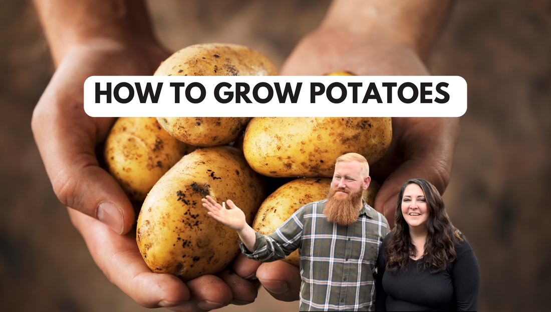 How to Grow Potatoes