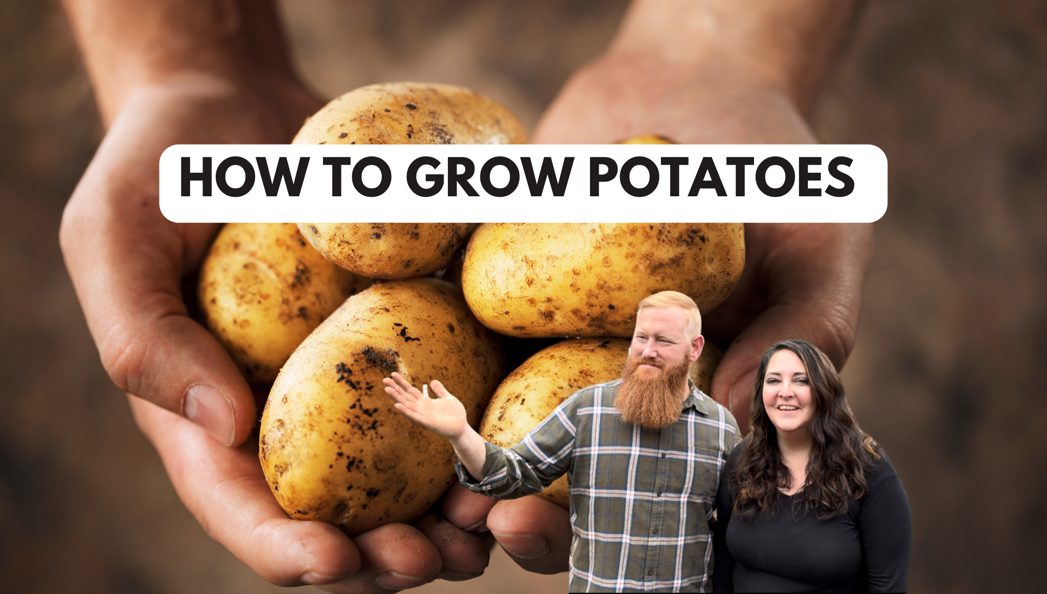 How to Grow Potatoes