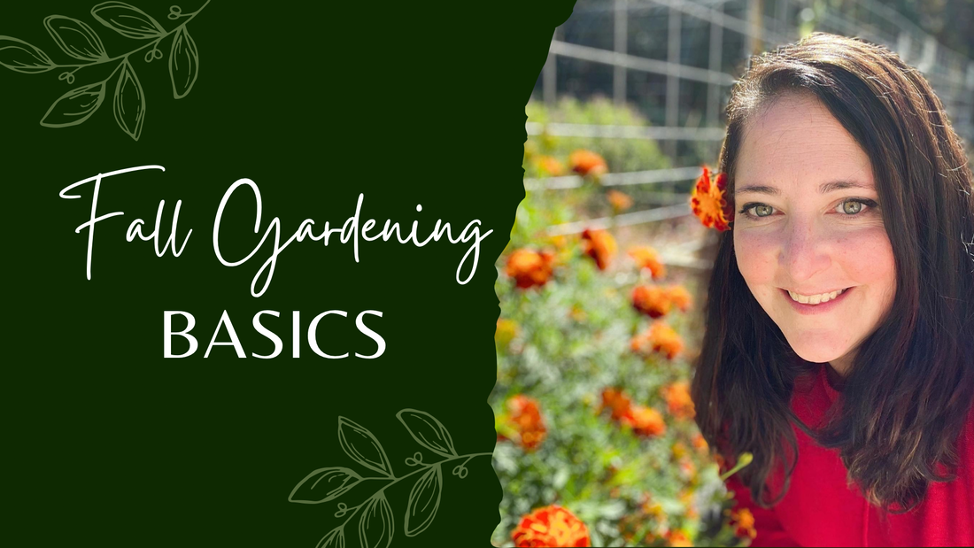 Fall Gardening for Beginners