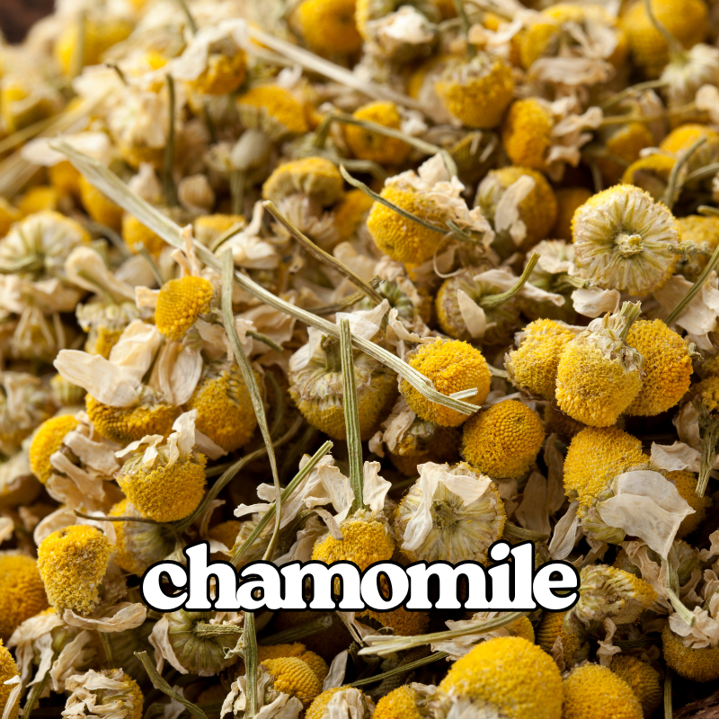 Chamomile