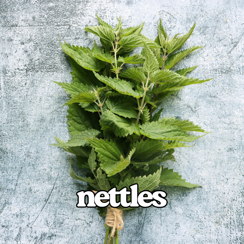 Nettles