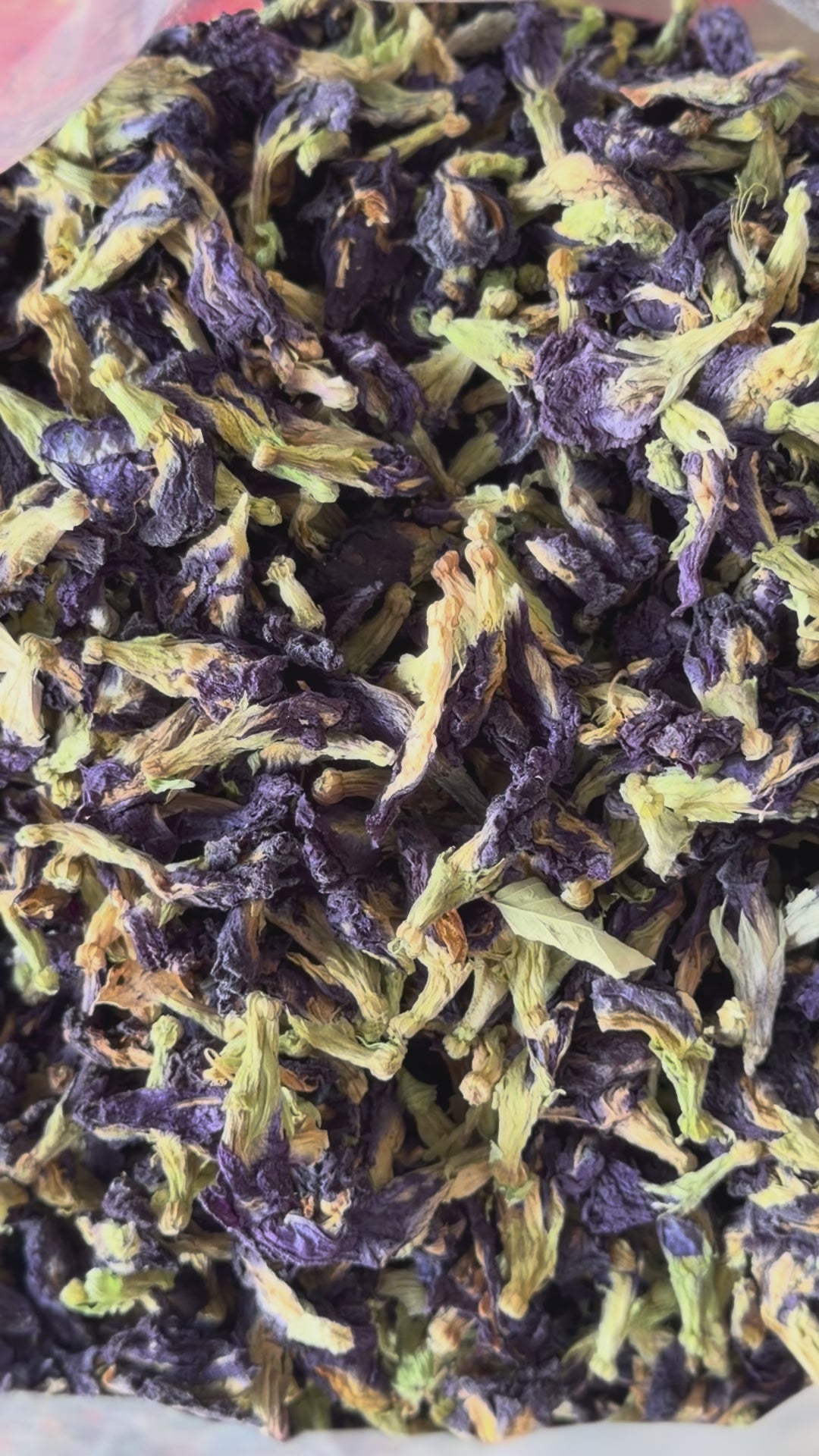 Butterfly Pea Flower