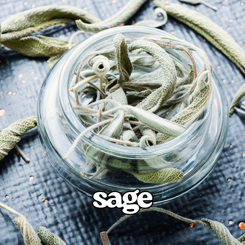 Sage