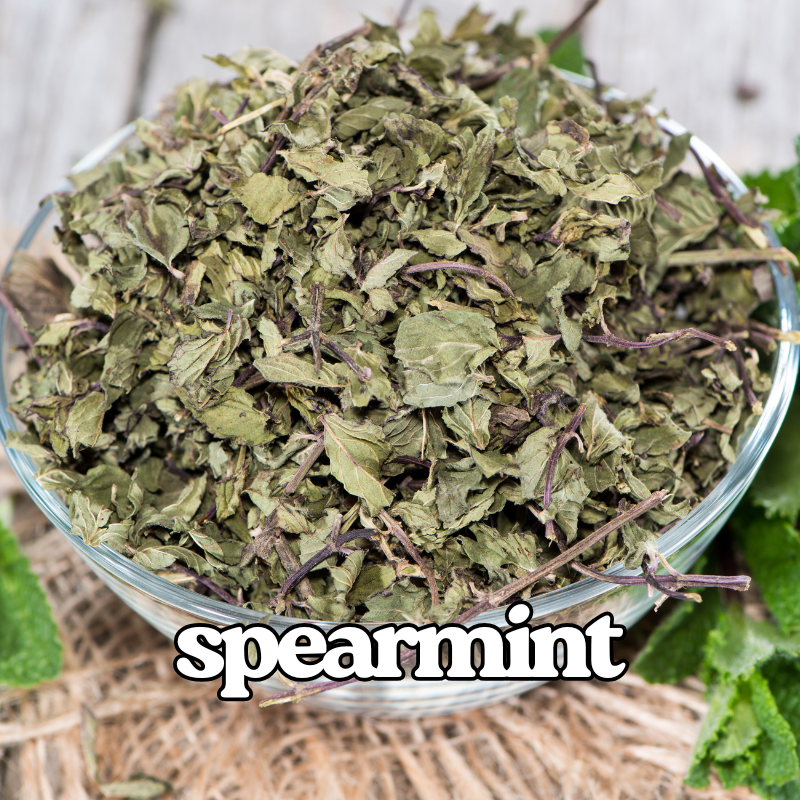 Spearmint
